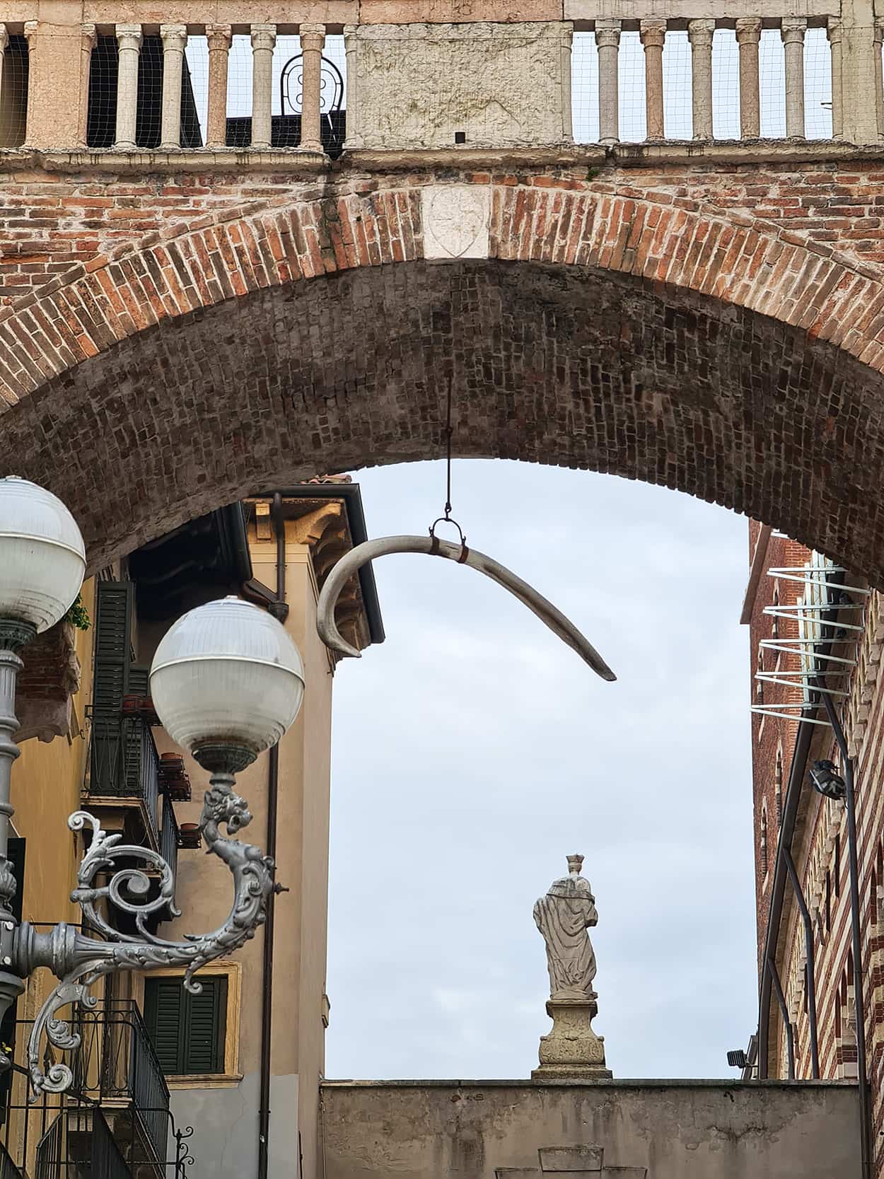 In foto si vede una grande costola penzolare appesa in alto ad un Arco che divide piazza dei signori con piazza delle erbe, una delle cose più strane di questa Verona insolita